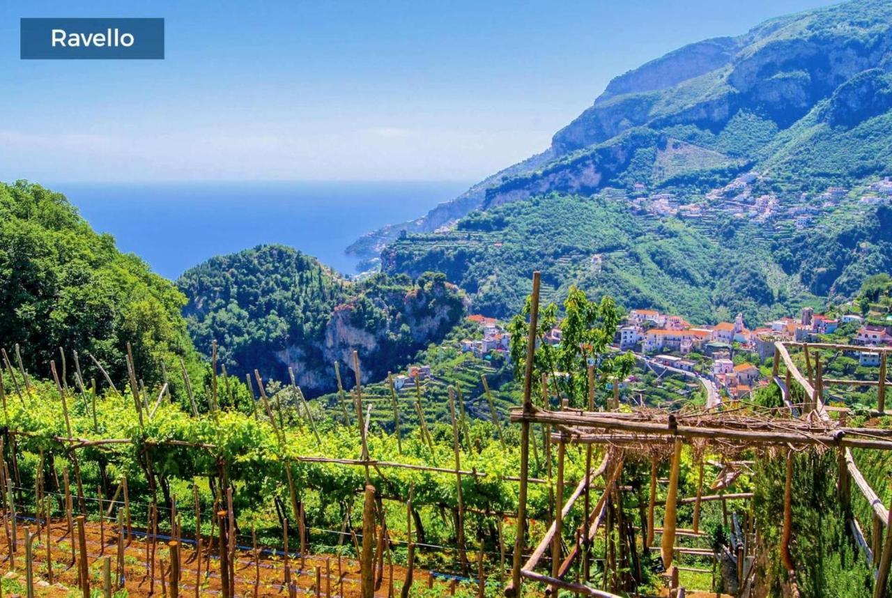 Panorama Villa Sorrento Eksteriør bilde